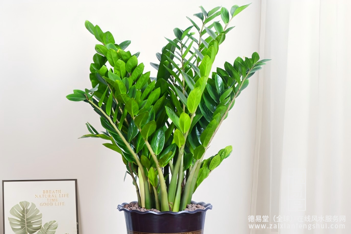 屏幕截图 2025-12-12 165243.png