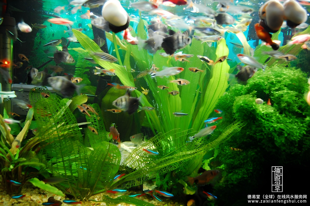 屏幕截图 2025-12-18 162108.png