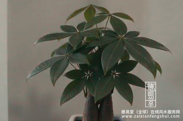 1787881979783304.png 封图.png