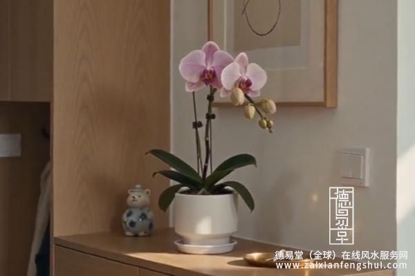 1791941897591944.jpg 配图.jpg